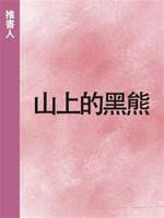 山上的黑熊
