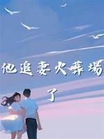 他追妻火葬場了