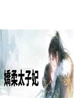 嬌柔太子妃